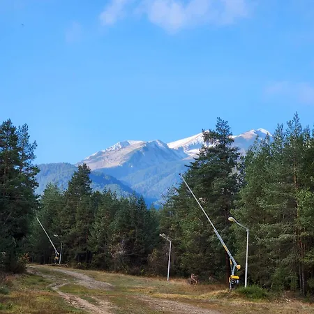 One Bedroom Pirin Апартаменты *