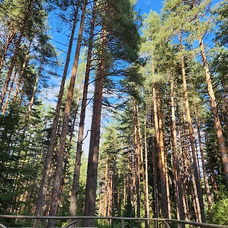 One Bedroom Pirin
