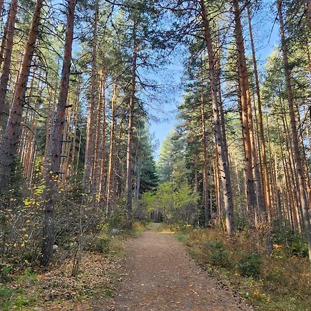 One Bedroom Pirin Апартаменты Банско