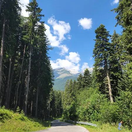 One Bedroom Pirin Apartment *