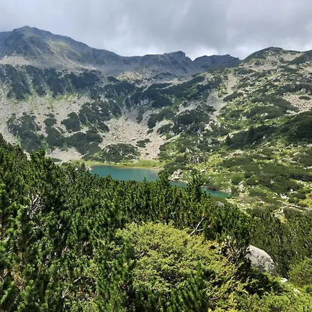 One Bedroom Pirin Apartment